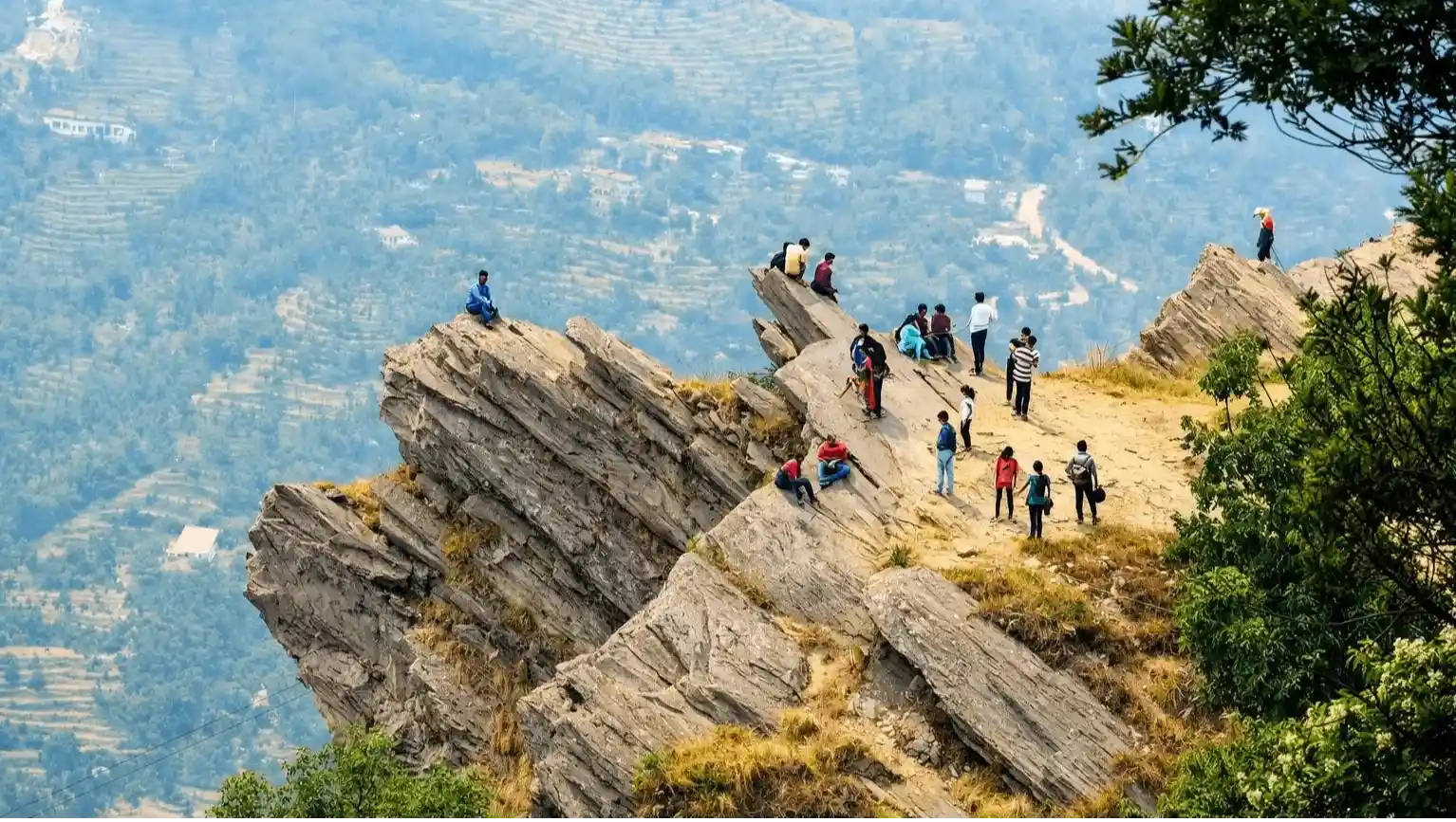 Chauli Ki Jali
